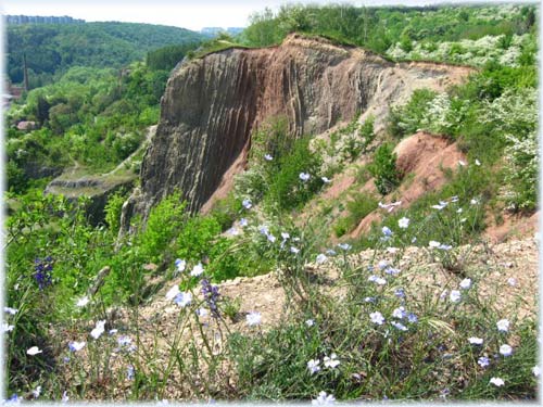 Prokopske Valley