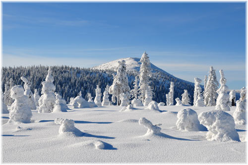 skiing_czech.jpg