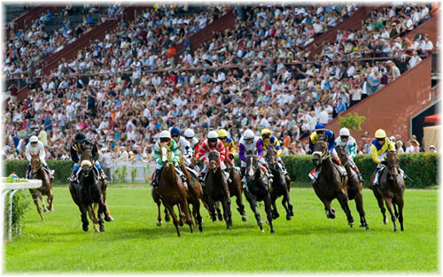 Horse racing at Velká Chuchle